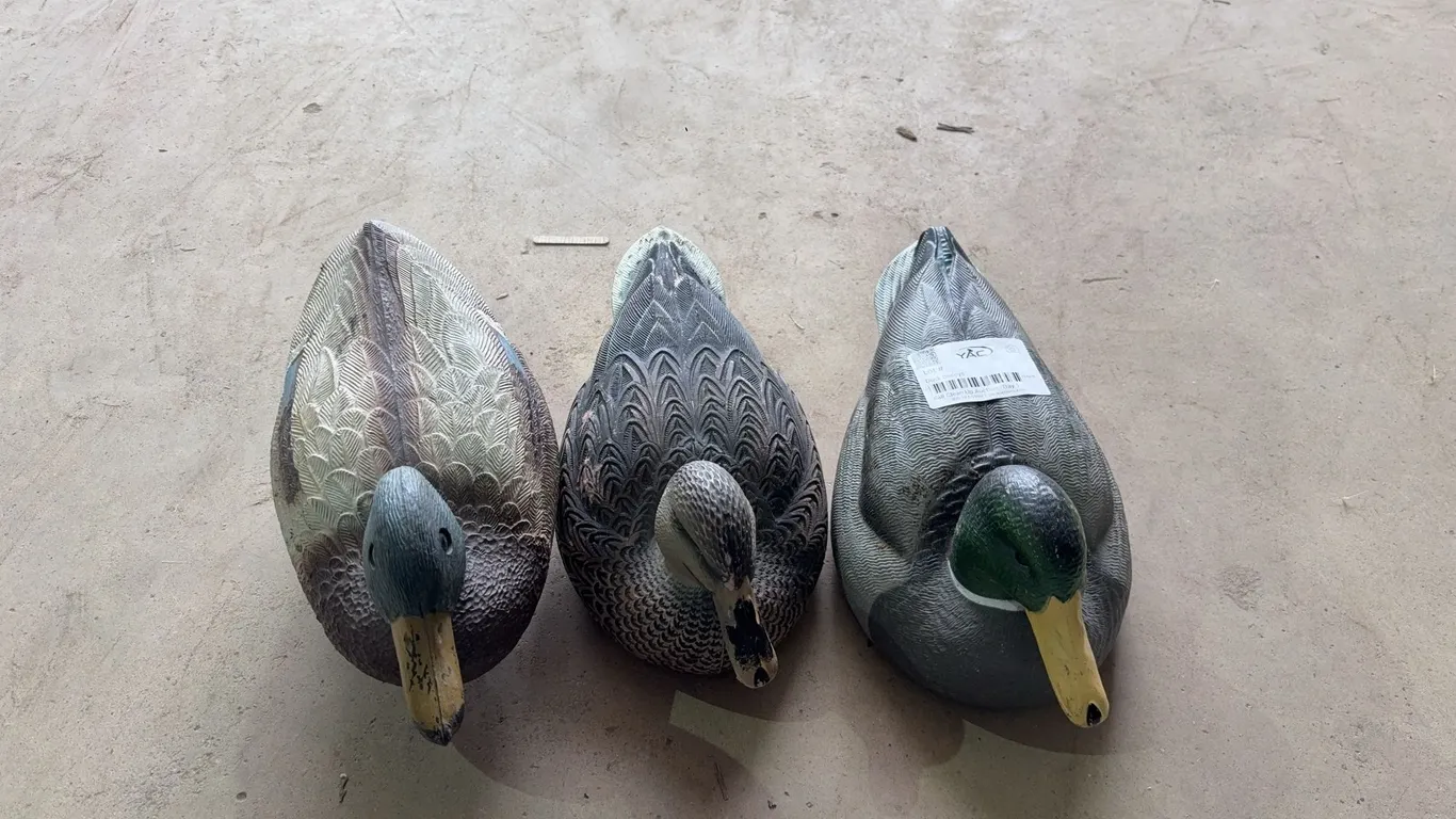 Duck Decoys