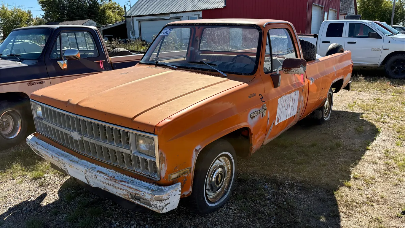 1981 CUSTOM DELUXE C10