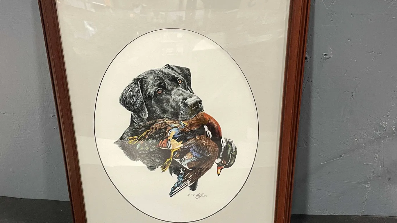 Black Lab Framed Print (T4)