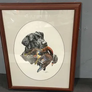 Black Lab Framed Print (T4)