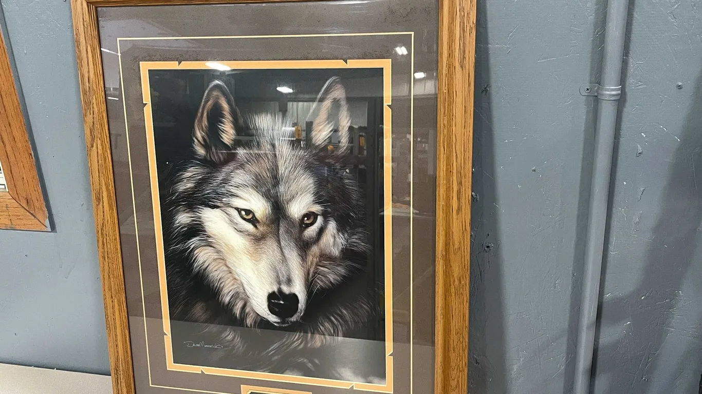 Indigo by Dave Merrick Framed and Matted Gray Wolf Print (T4)