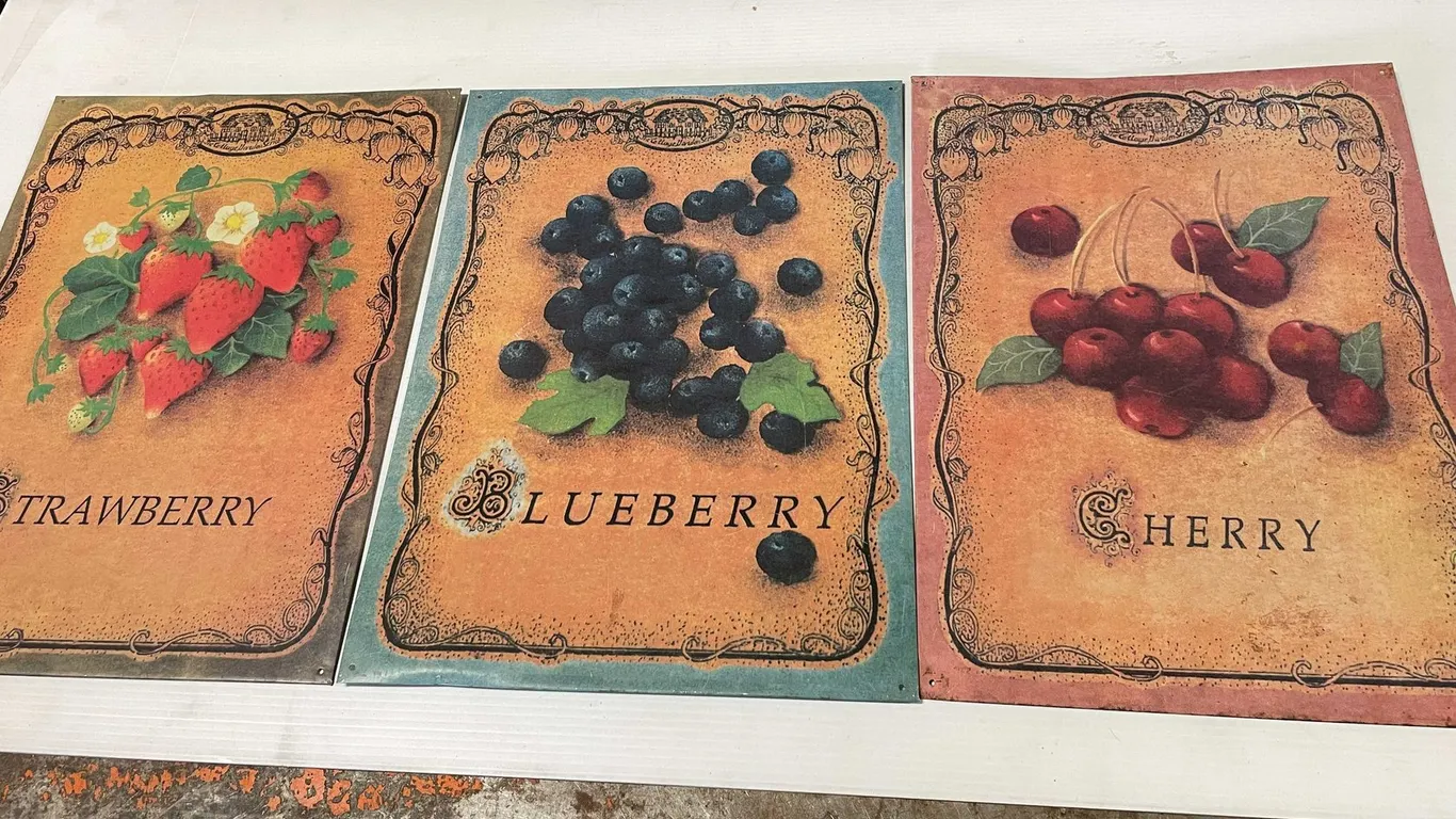 Vintage Fruit Metal Signs (T5)