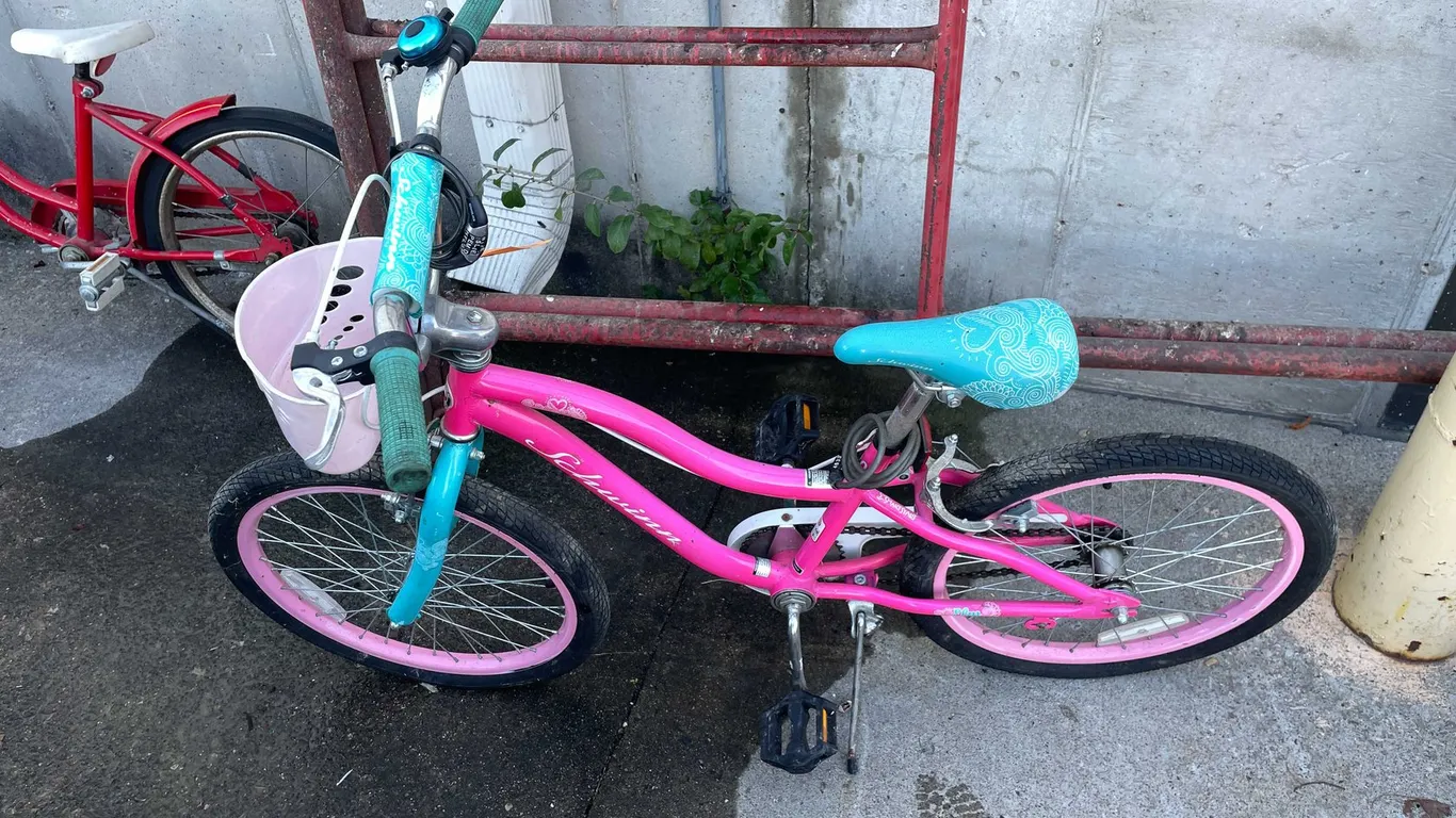 Schwinn Elm Girls Bike (03)