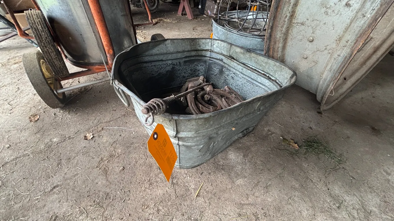 Galvanized Tub and Horseshoes
