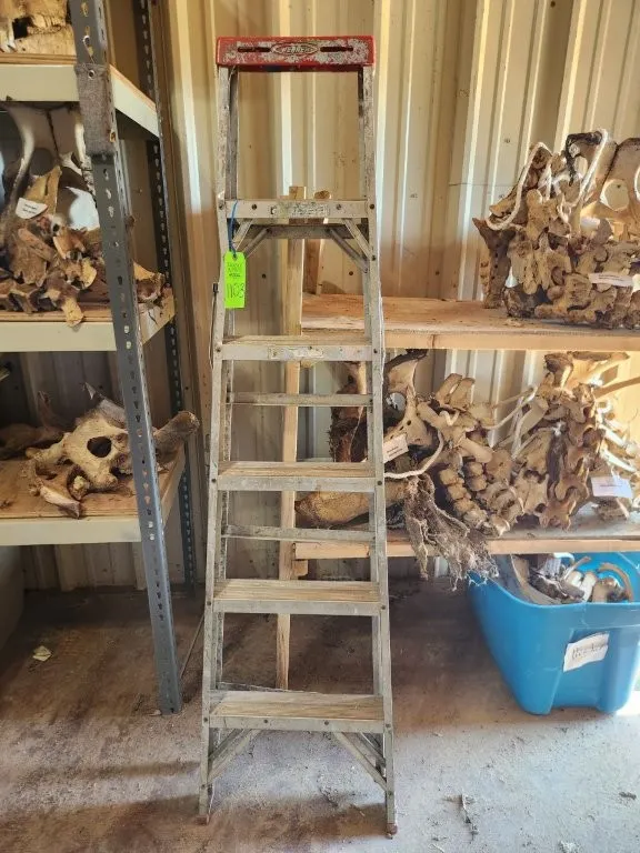 Werner 6' Ladder