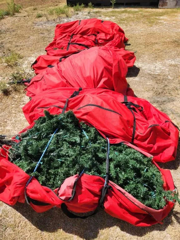 Misc. Christmas Trees
