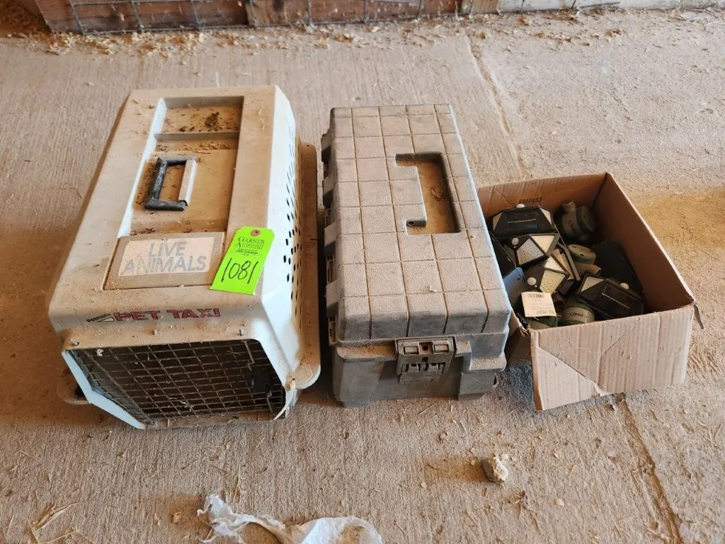 Pet Taxi, Toolbox, & Solar Lights