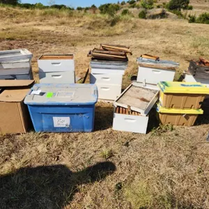 Beehives, Beekeeping Suit, & Misc. Bee Keeping Items