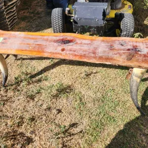 Longhorn Leg Cedar Bench