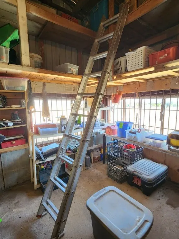 20' Extension Ladder