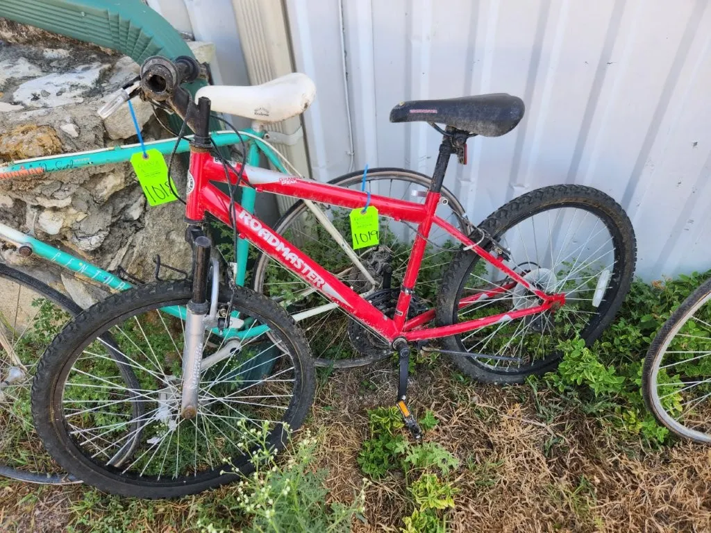 Roadmaster Bike