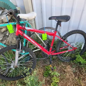 Roadmaster Bike