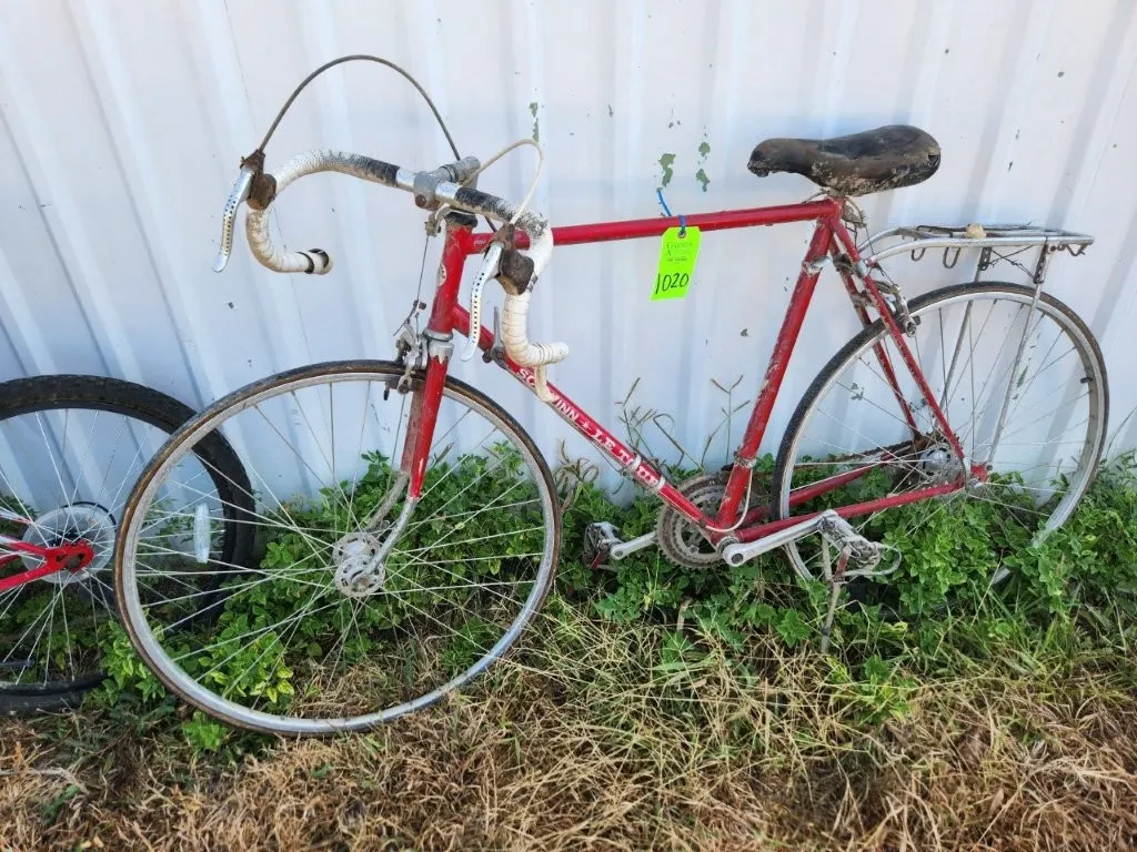 Schwinn Le Tour Bike