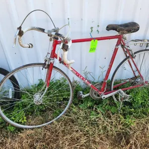 Schwinn Le Tour Bike