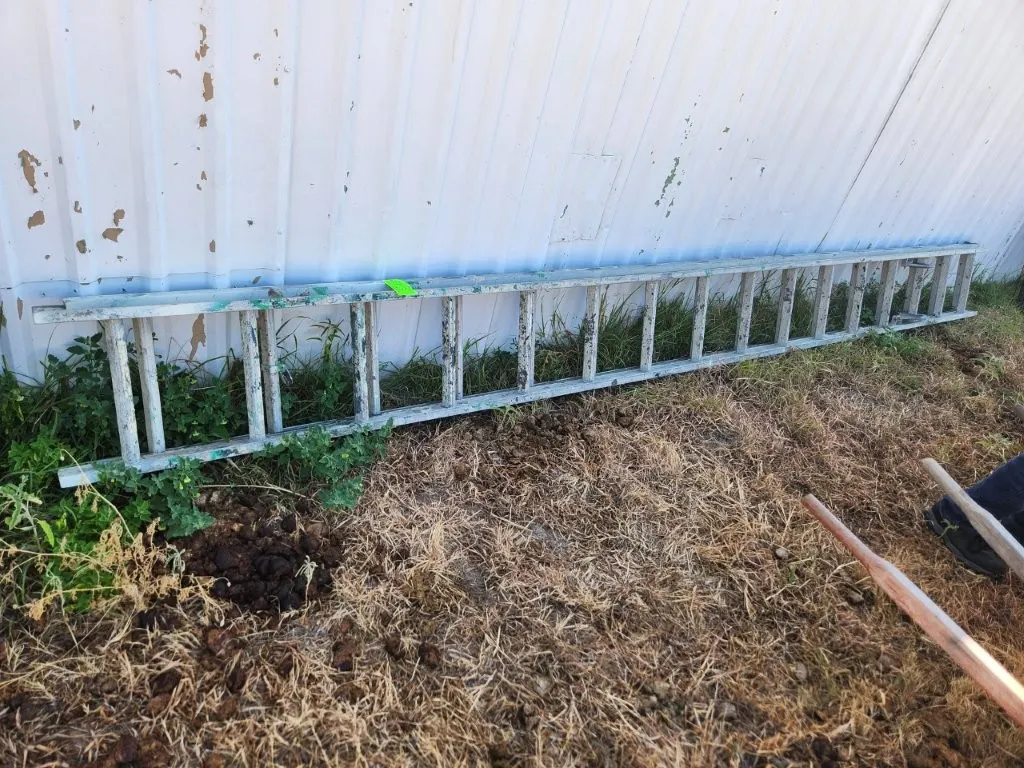 30' Extension Ladder