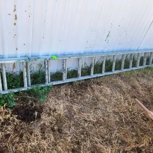 30' Extension Ladder