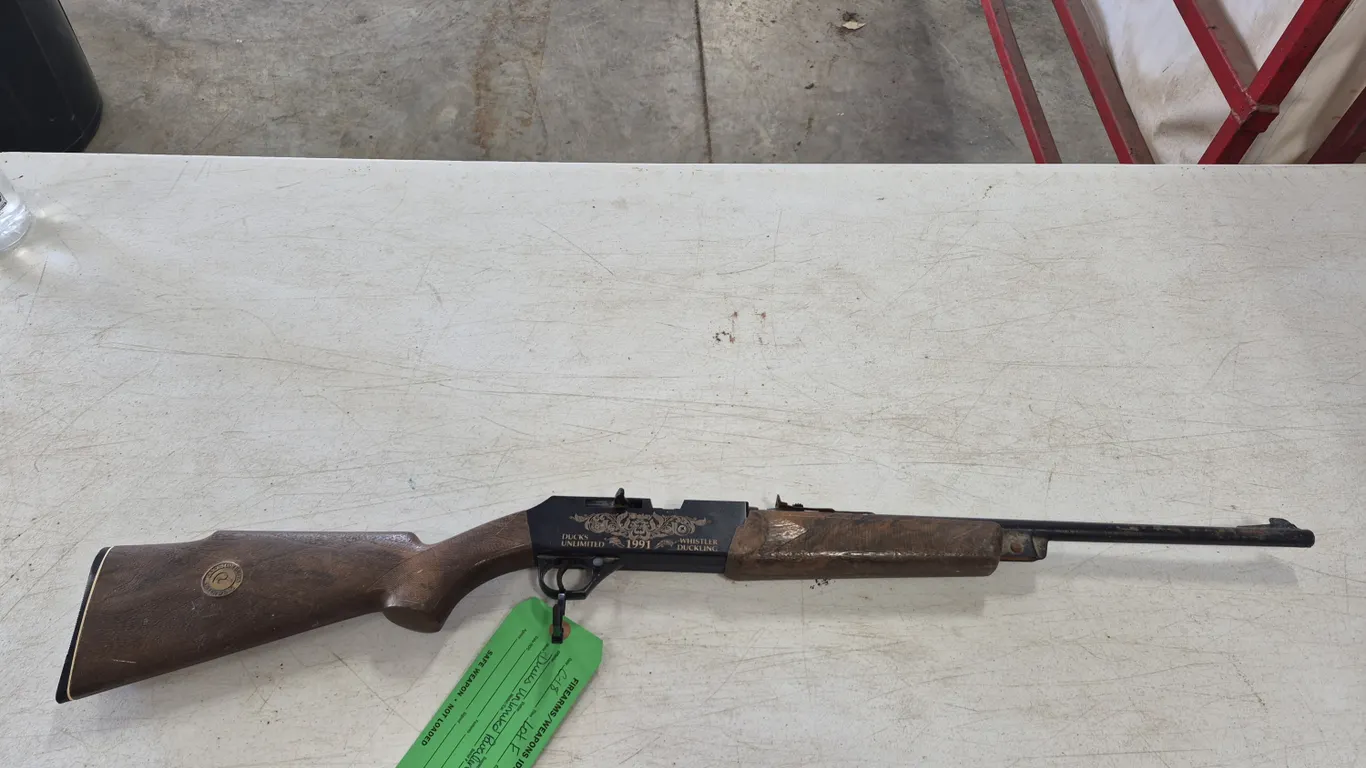 Ducks Unlimited BB/Pellet gun