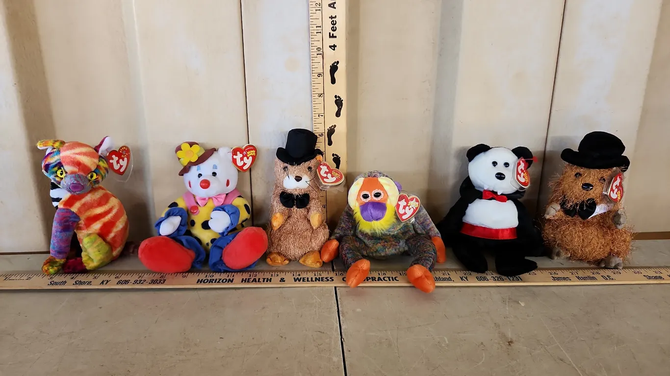 6 Assorted TY Beanie Babies, See Photos