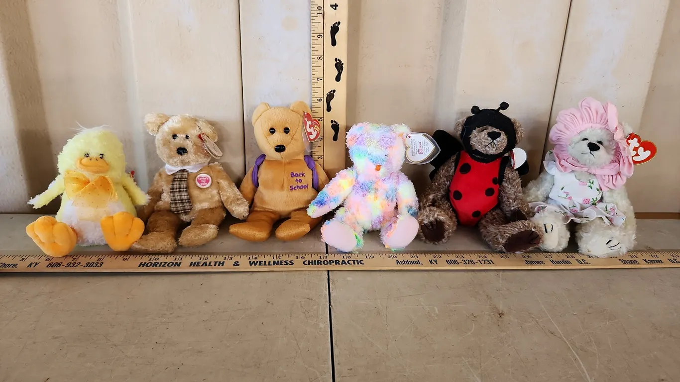 6 Assorted TY Beanie Babies, See Photos