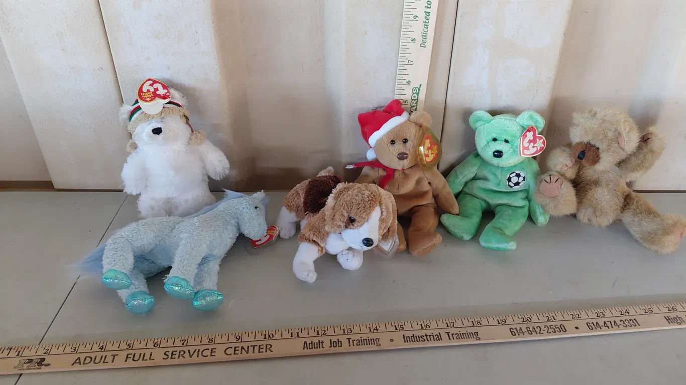 6 Assorted TY Beanie Babies, See Photos