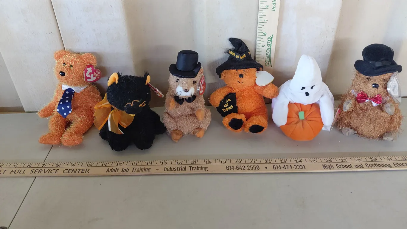 6 Assorted TY Beanie Babies, See Photos
