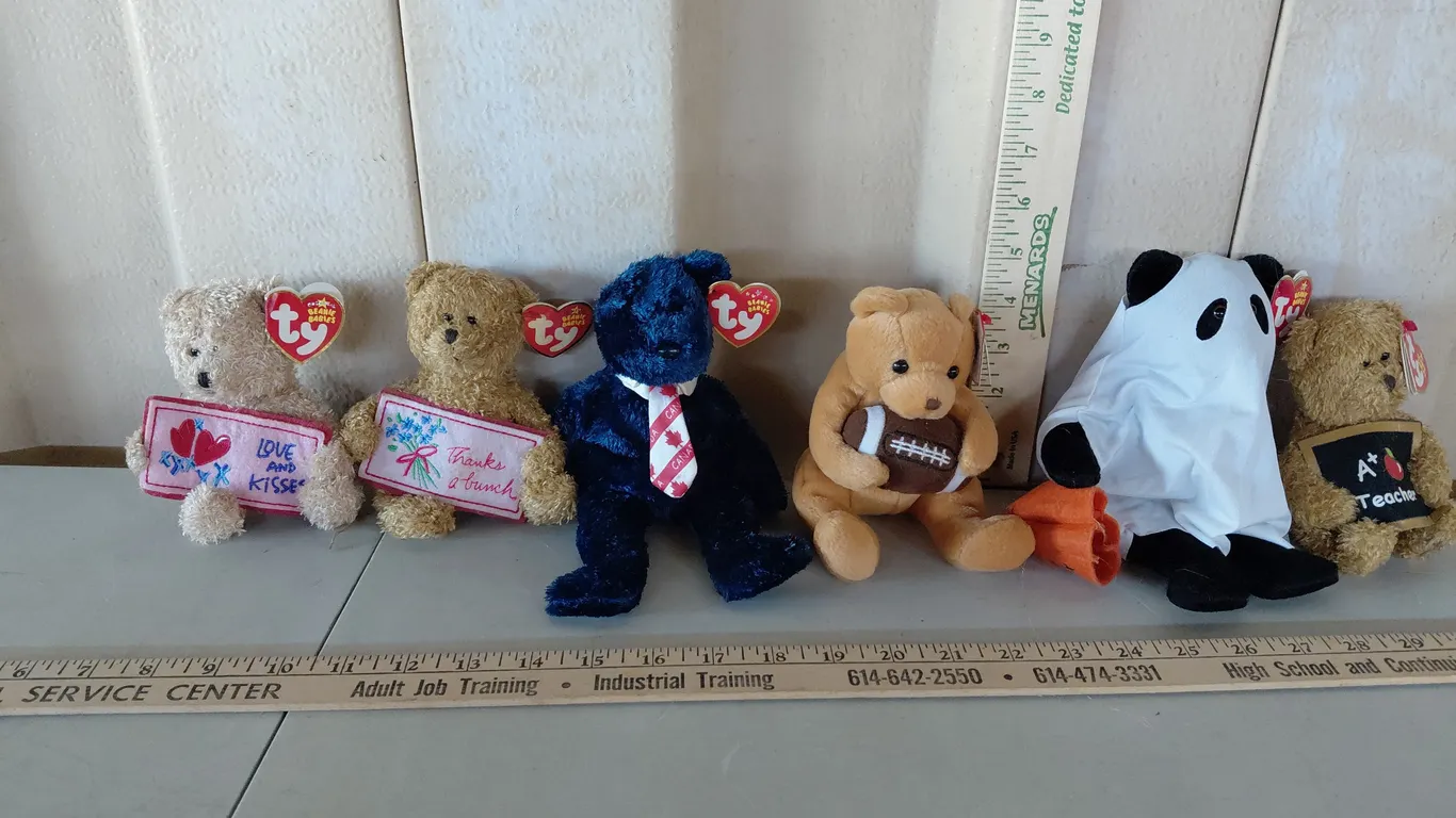 6 Assorted TY Beanie Babies, See Photos