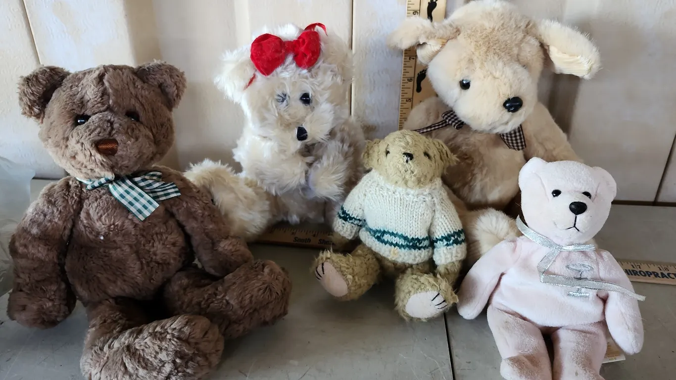 Assorted Bears