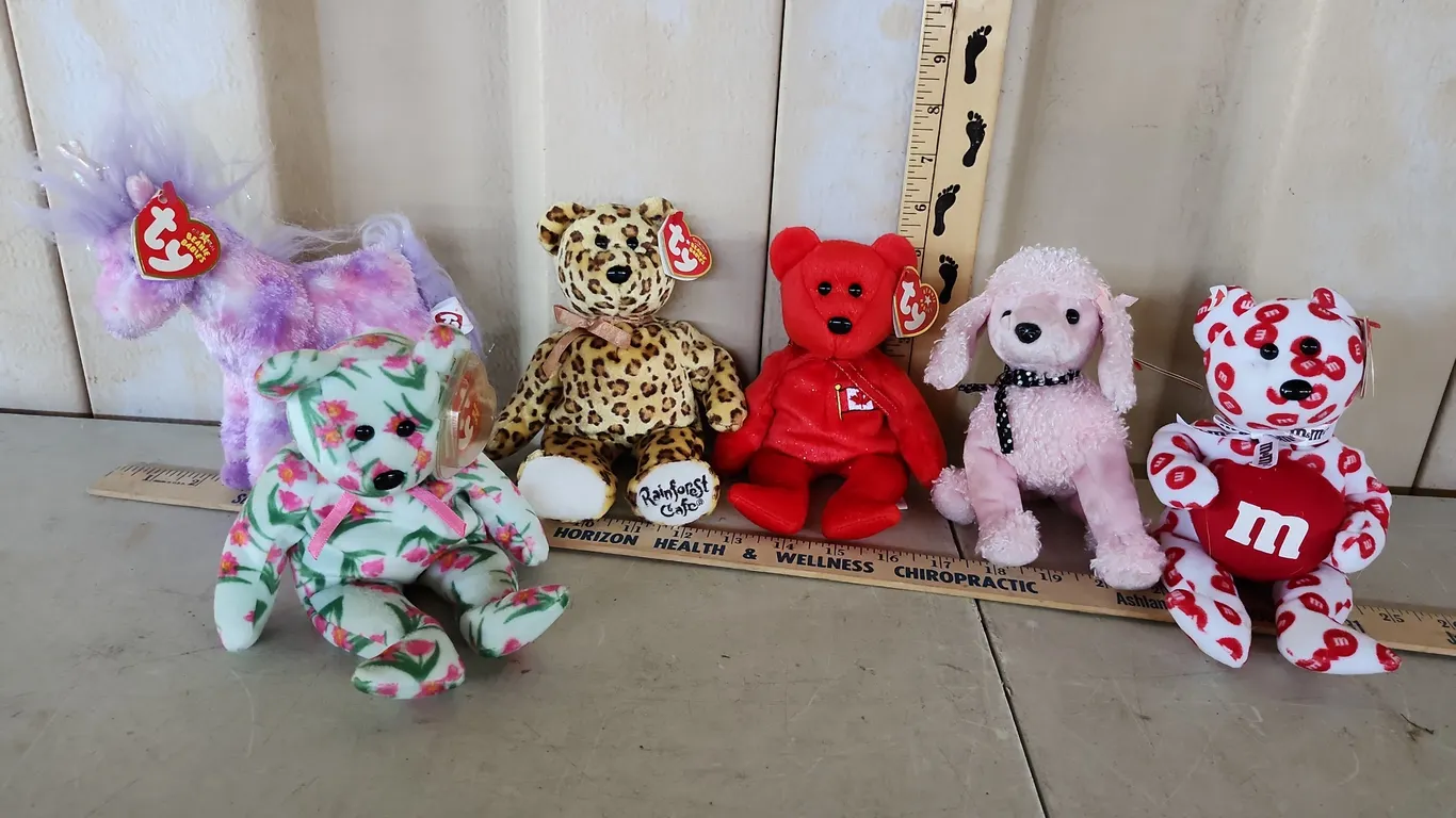 6 Assorted TY Beanie Babies, See Photos