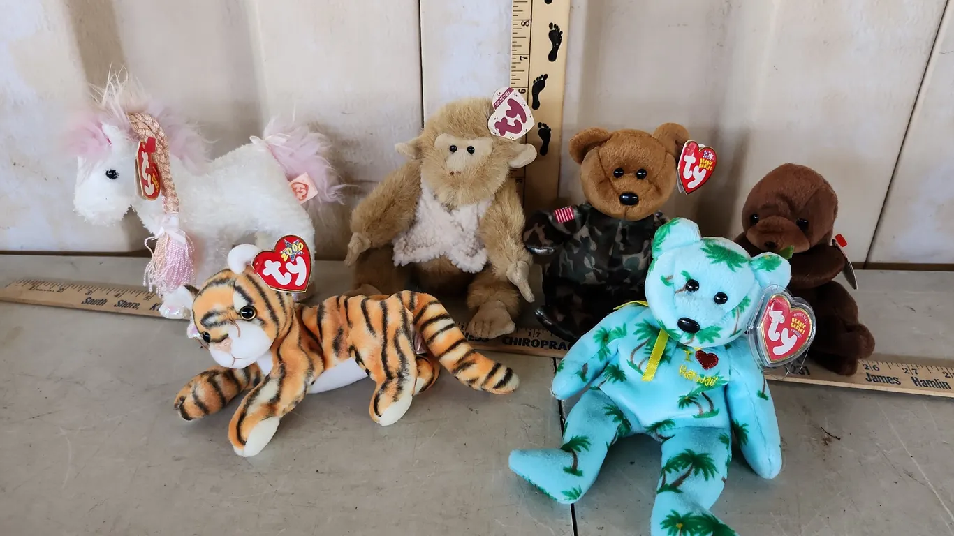 6 Assorted TY Beanie Babies, See Photos