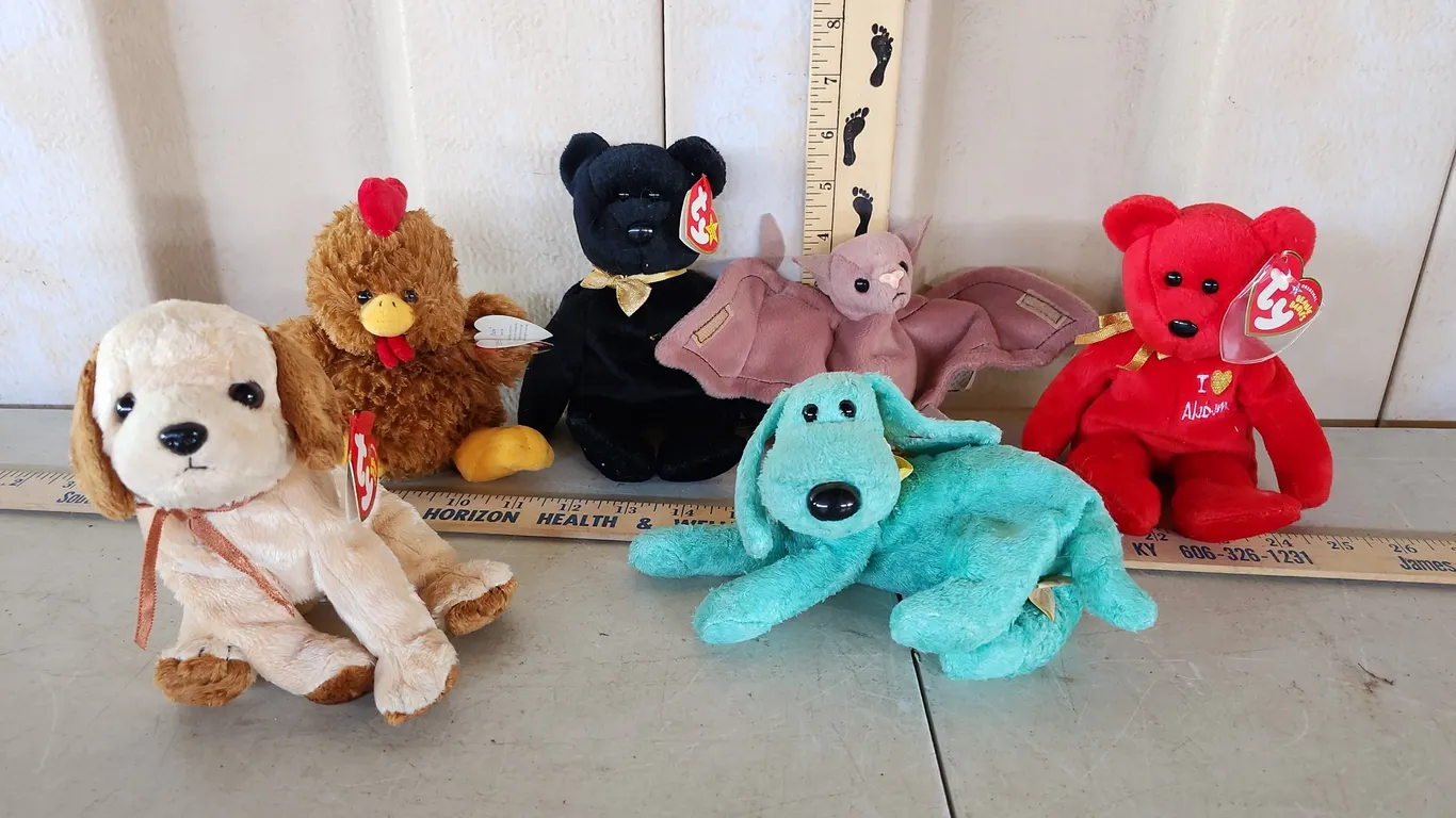 6 Assorted TY Beanie Babies, See Photos