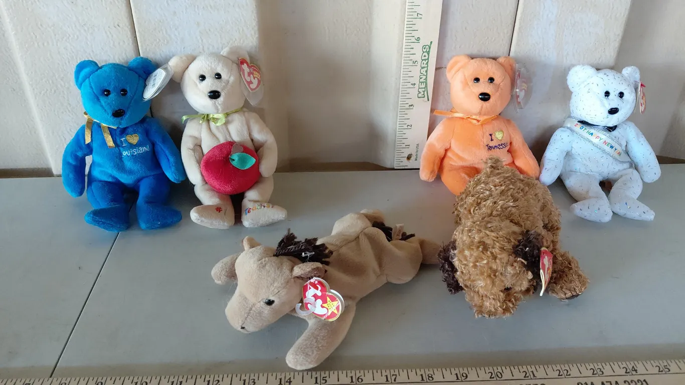 6 Assorted TY Beanie Babies, See Photos