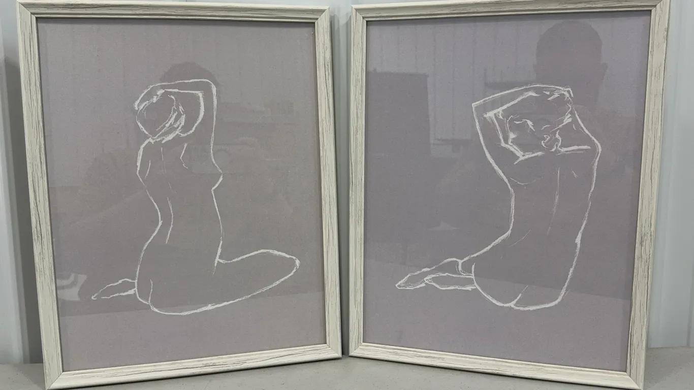 Modern Framed Line Art Nude Women