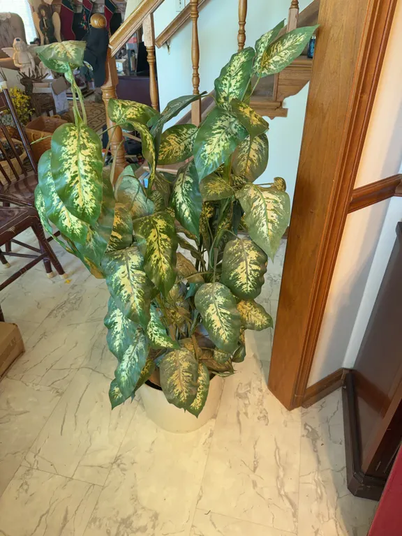 Fake Plant