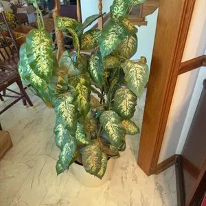 Fake Plant