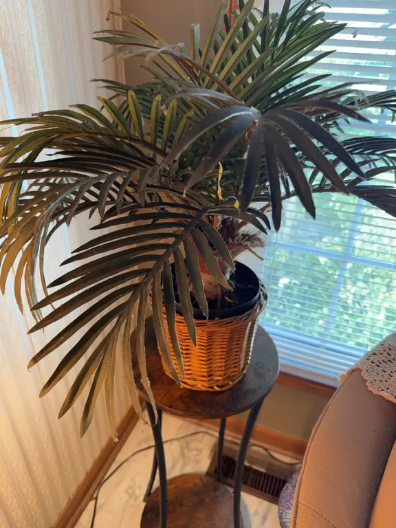Set of plants on plant stands