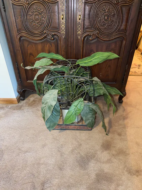 Decorative birdcage with plant 