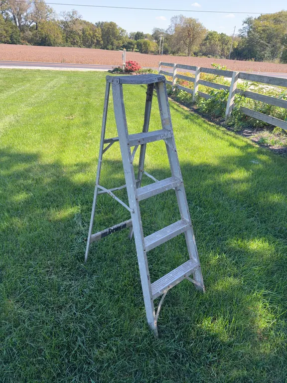 Folding Ladder