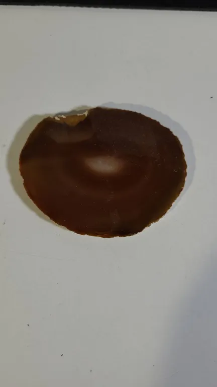 Brown Agate Slice Polished Stone Specimen Display