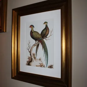Pheasant Print