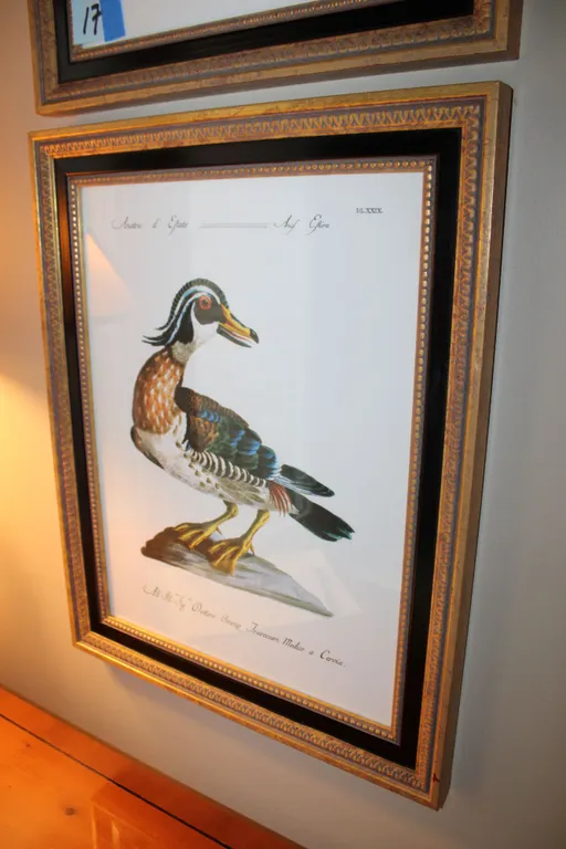 French Duck Print