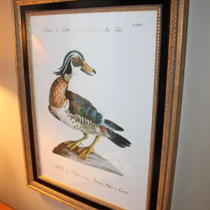 French Duck Print