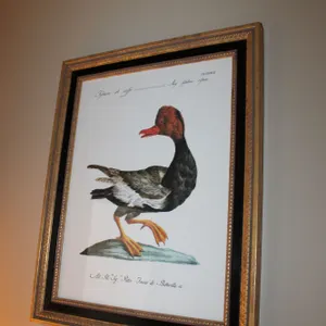 French Duck Print