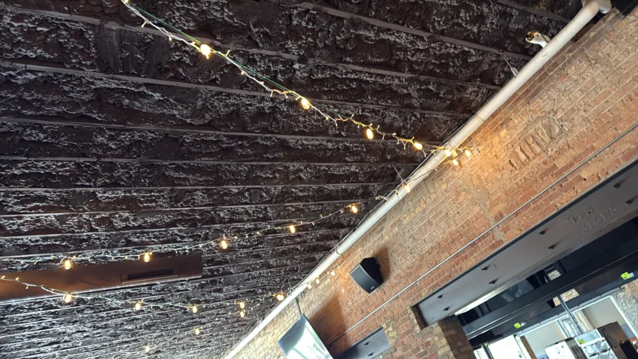 Assorted decorative string lights. Features multiple overhead strands of warm bistro and accent string lighting suspended across ceiling rafters. Note