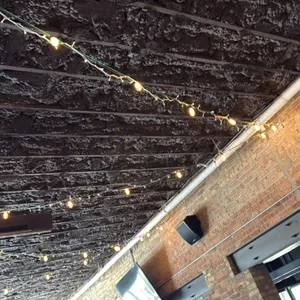 Assorted decorative string lights. Features multiple overhead strands of warm bistro and accent string lighting suspended across ceiling rafters. Note