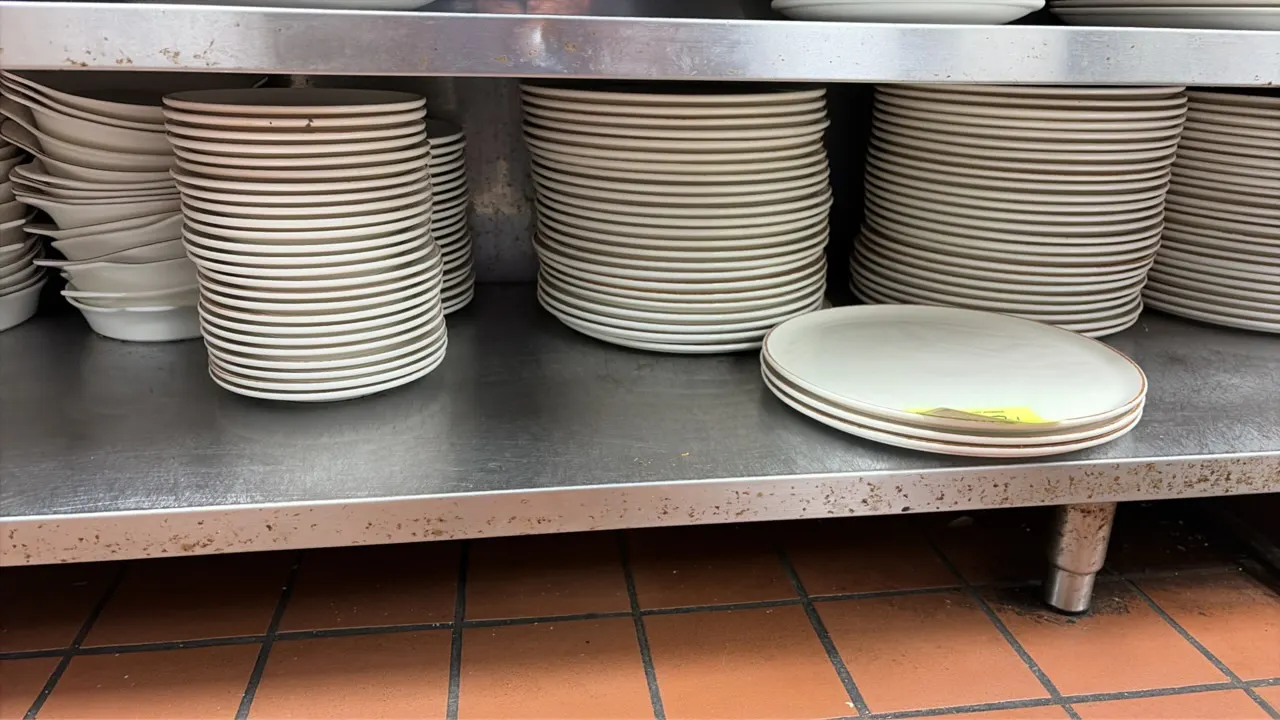 Assorted china dinnerware. Includes ceramic plates featuring accent rims along with white scalloped bowls. Note: Stainless steel table not included.