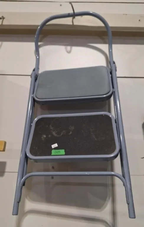 Folding 2 step stool