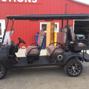 2026 Sdlool Unused Off-road Golf Cart Sl-gc42s
