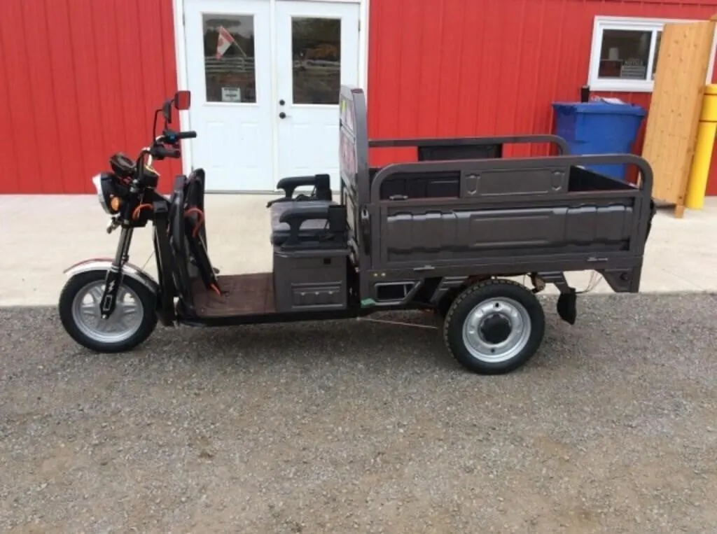 2026 Iret13 New Electric Tricycle - Gray