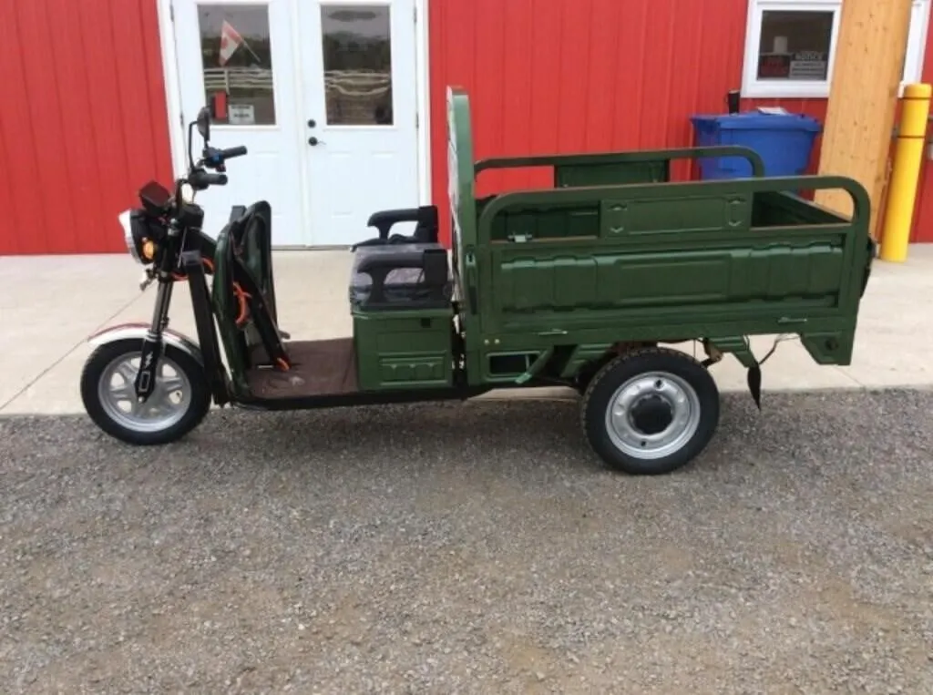 2026 Iret13 New Electric Tricycle - Green