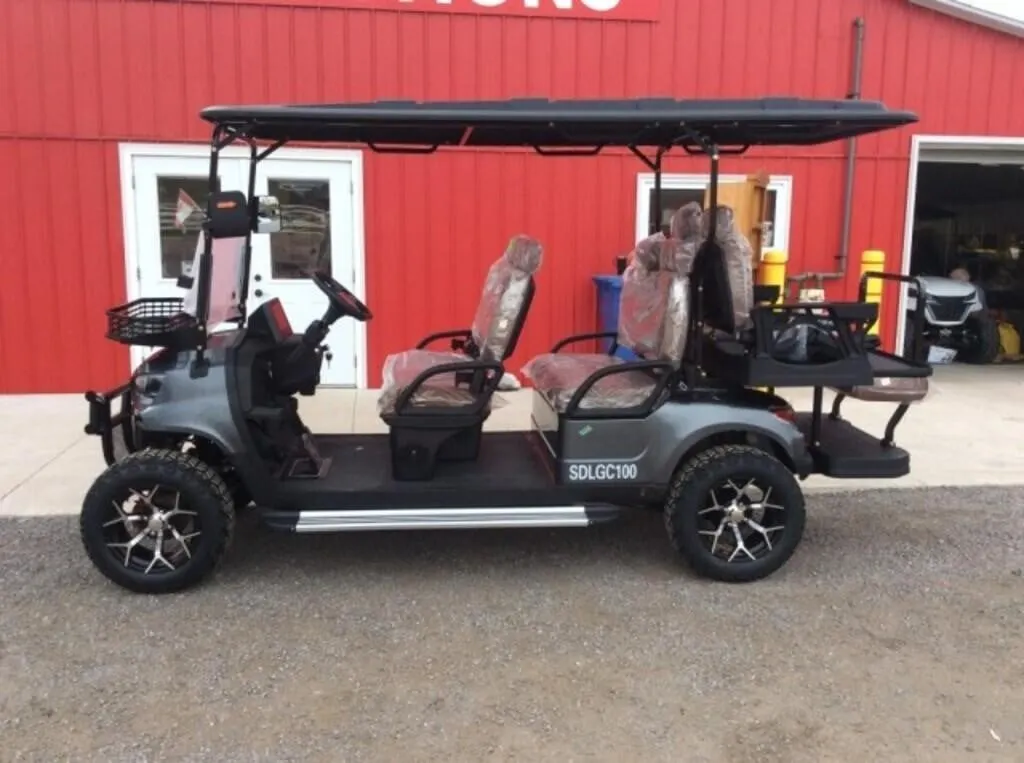 2026 Unused Golf Cart Sdlgc100